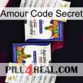 Love Secret Code 12